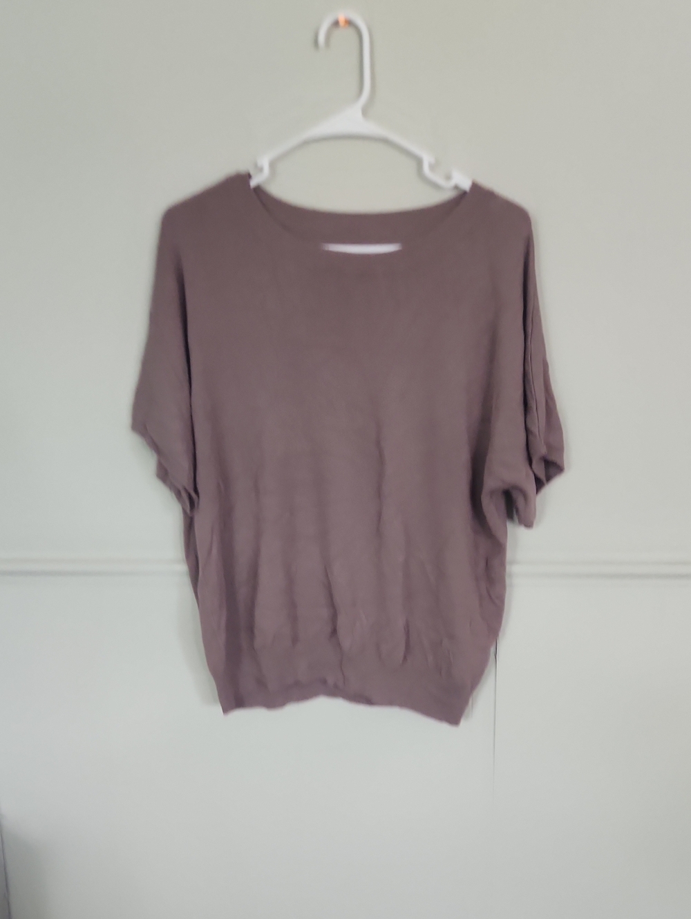 Source Unknown Mauve Short-Sleeve Relaxed Sweatshirt